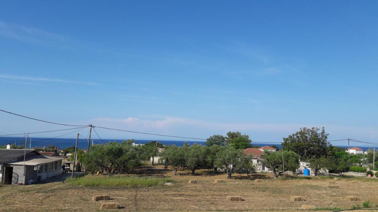 Kypseli Farmhouse Ferienhaus *